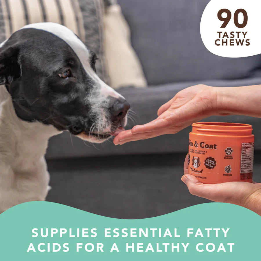 Vitamins for dogs store with dry skin