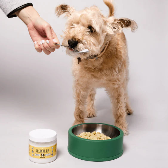 Is cooking oil bad for dogs hot sale