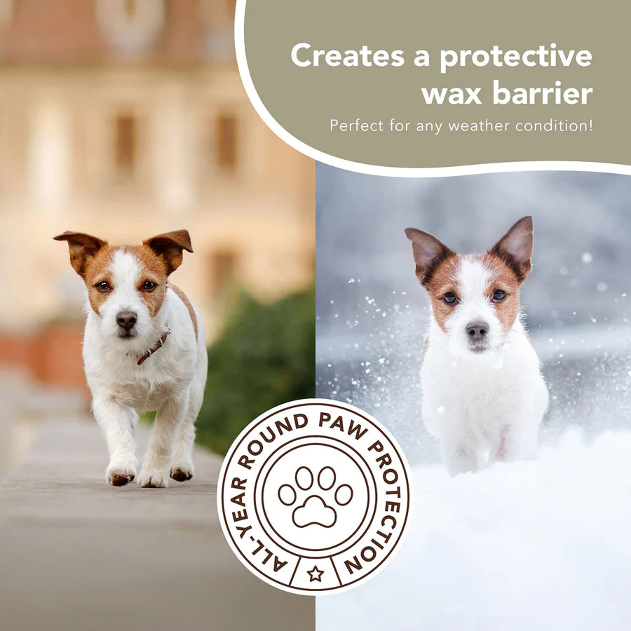 PawTection  Protect Your Dog's Paws From Snow, Ice and Heat – Only Dogs  Allowed