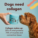 Collagen Supplement