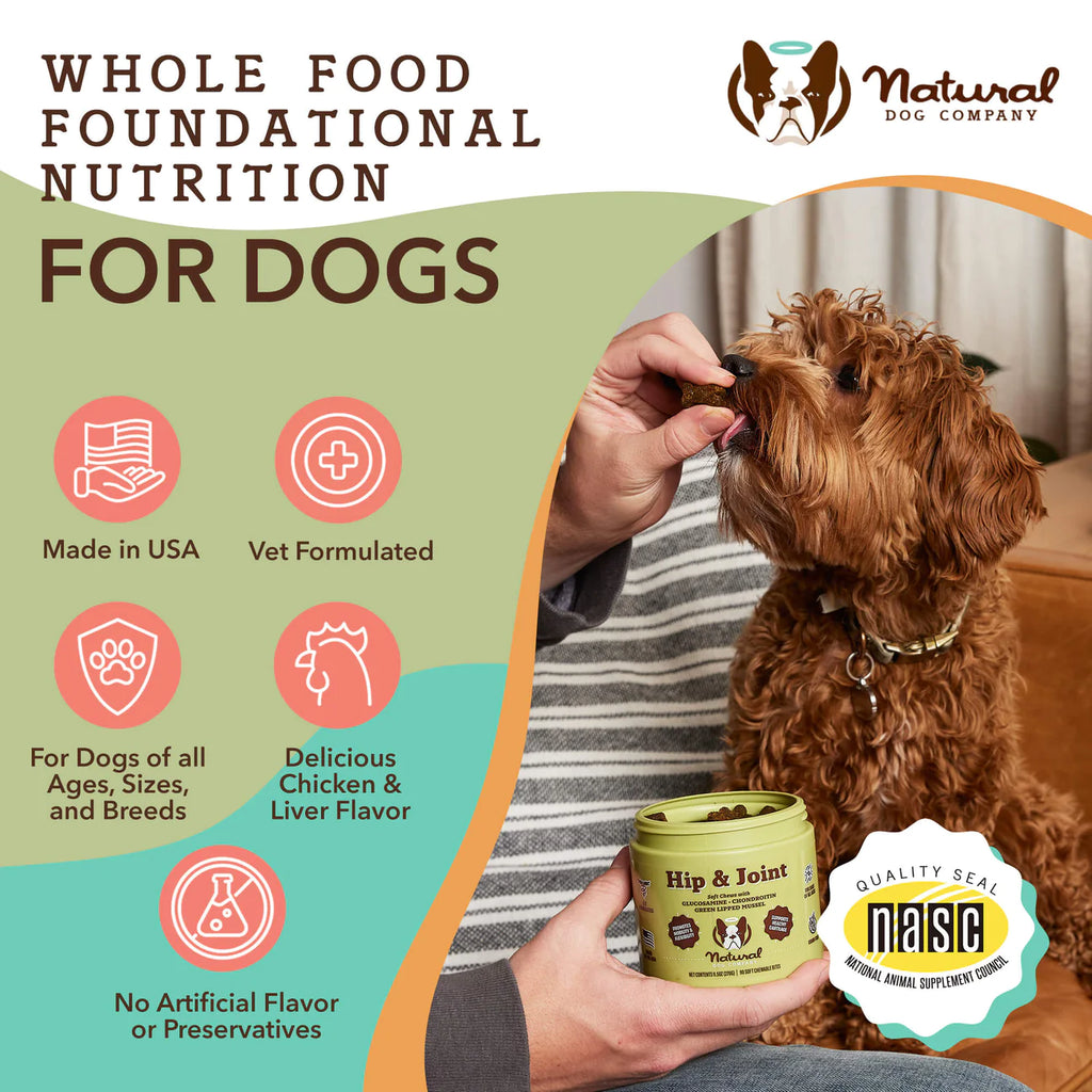 Dog food best sale for hip dysplasia