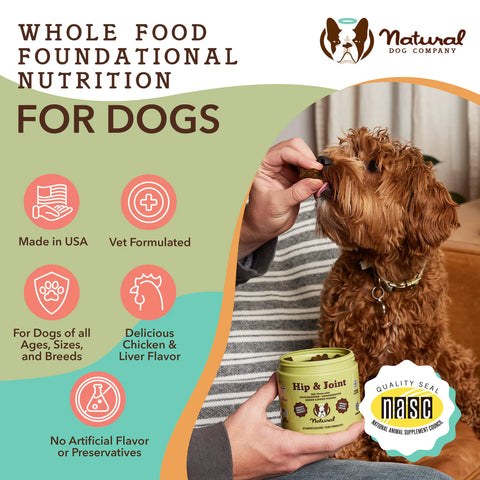 Hip and joint meds for dogs 2025