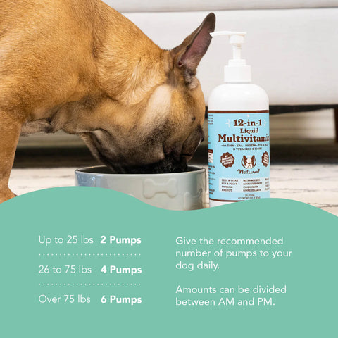 Vitamins for my hot sale dog