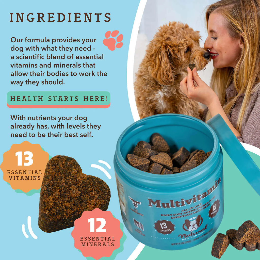 Multivitamin for dogs with allergies outlet