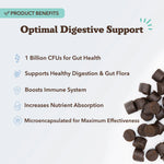 Super-Flora Probiotic Supplement