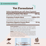 Super-Flora Probiotic Supplement
