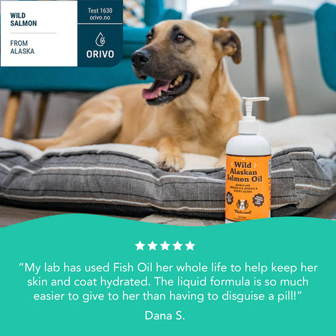 Organic salmon sales oil for dogs