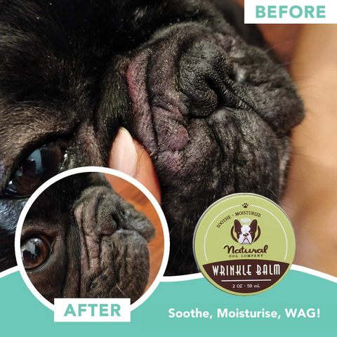 Organic Wrinkle Balm For Dogs Natural Dog Company UK Only Dogs