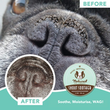 before and after pictures of Snout Soother dog nose balm